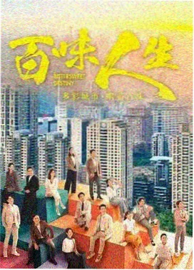 石阶书店旧刊层的木质书架与临窗座位